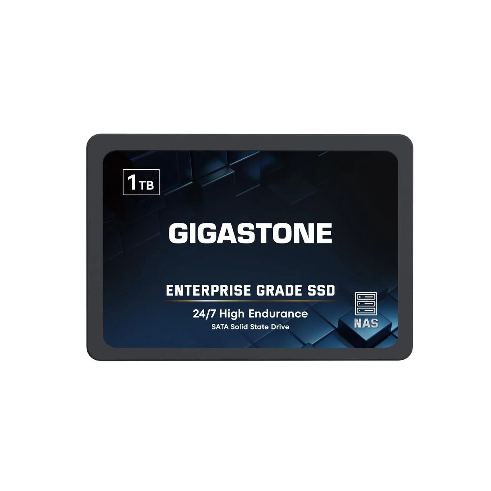 Gigastone NAS Enterprise SSD 1TB 24/7 High Endurance