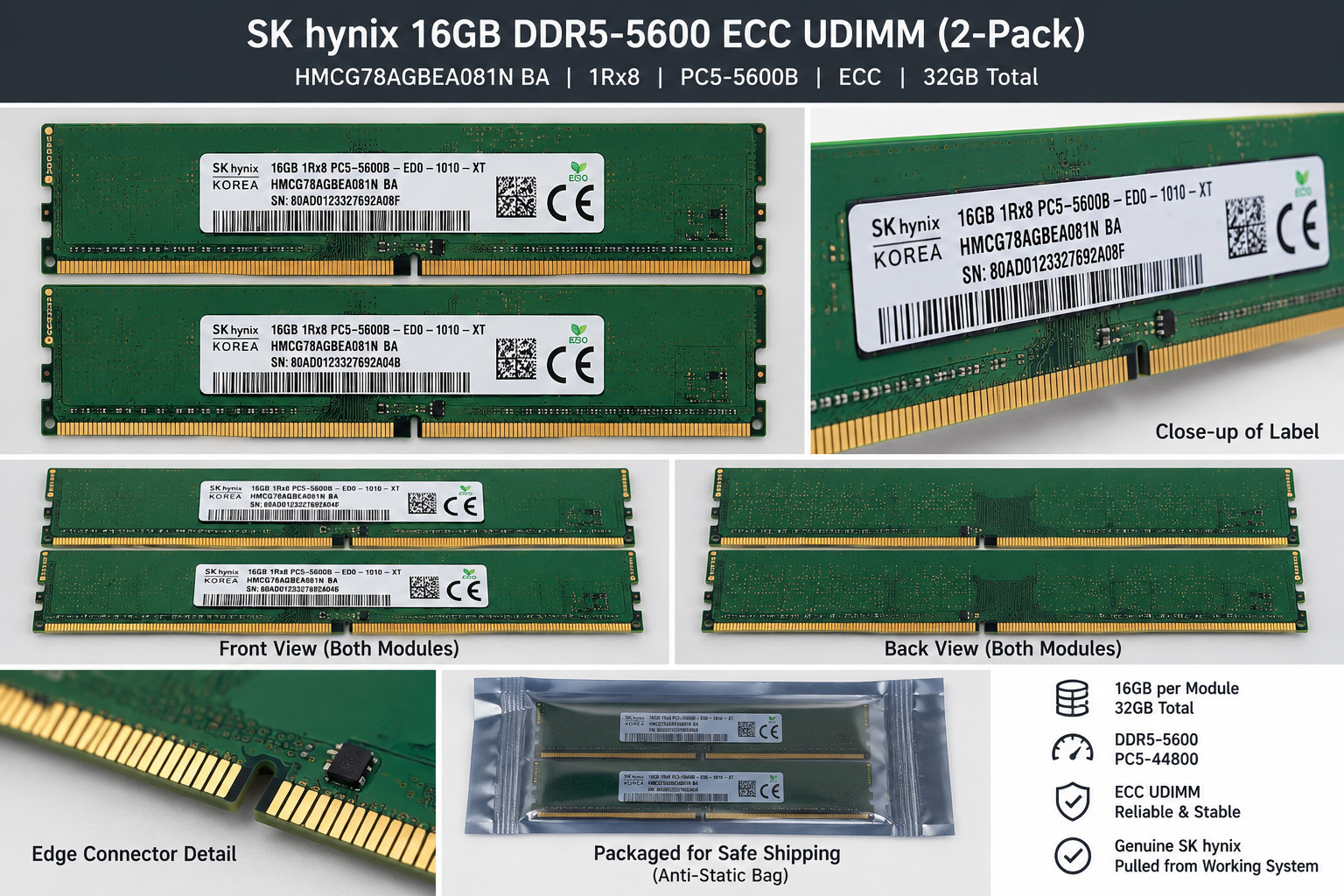 2x SK hynix 16GB DDR5-5600 ECC UDIMM HMCG78AGBEA081N BA 32GB Kit