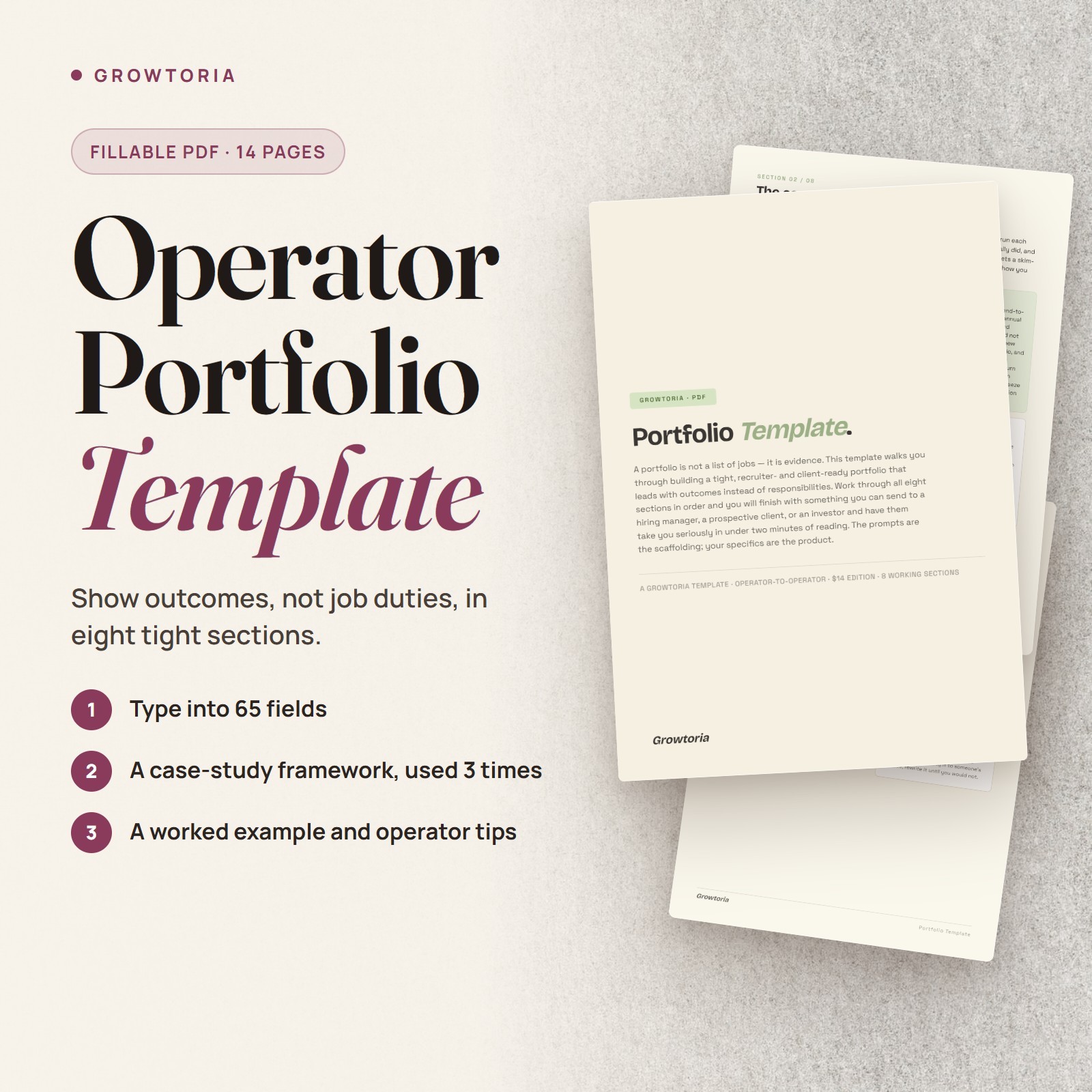 Professional Portfolio Template PDF Case Study Framework for Consultants & PMs