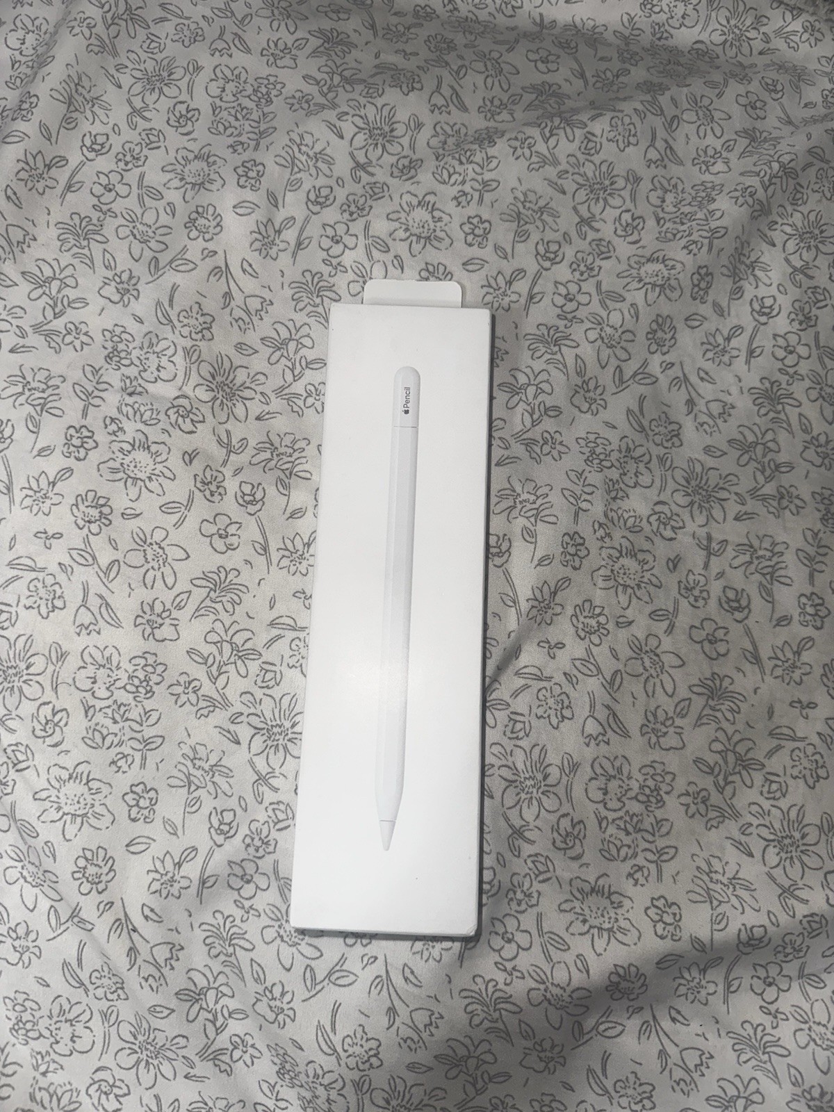 Official Apple Pencil (USB-C) – Brand New In Retail Box Works with latest iPads