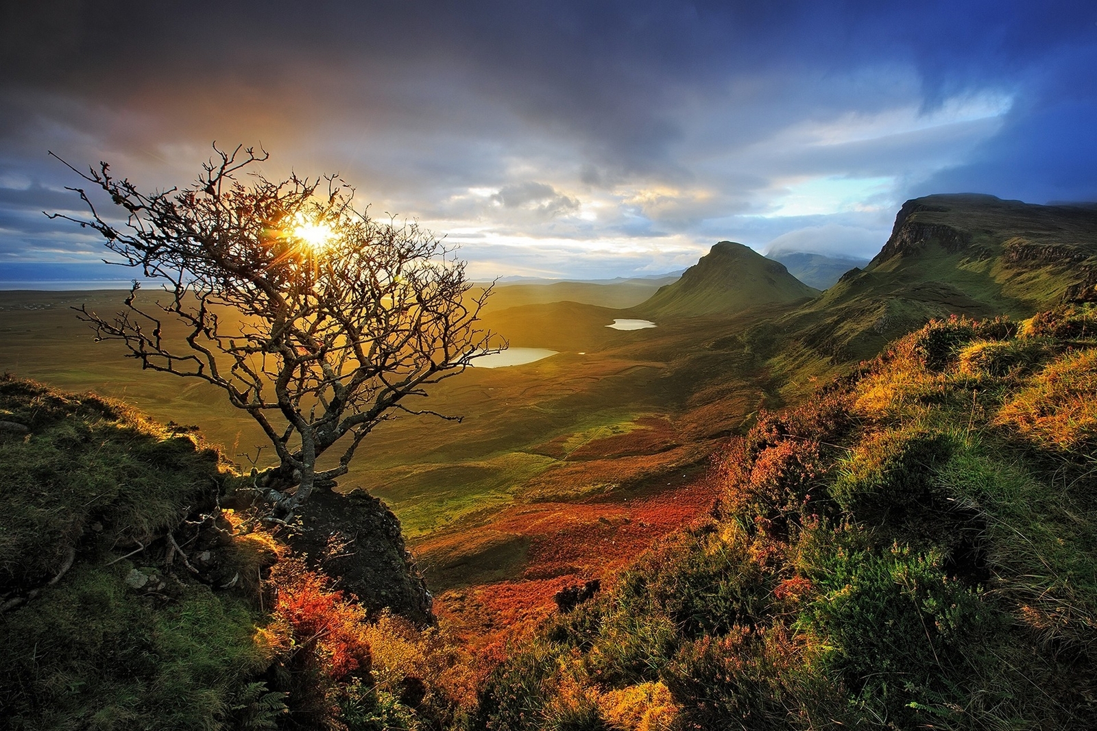 Landscape nature skye scotland dead trees shrubs valley Custom Gaming Mat Desk