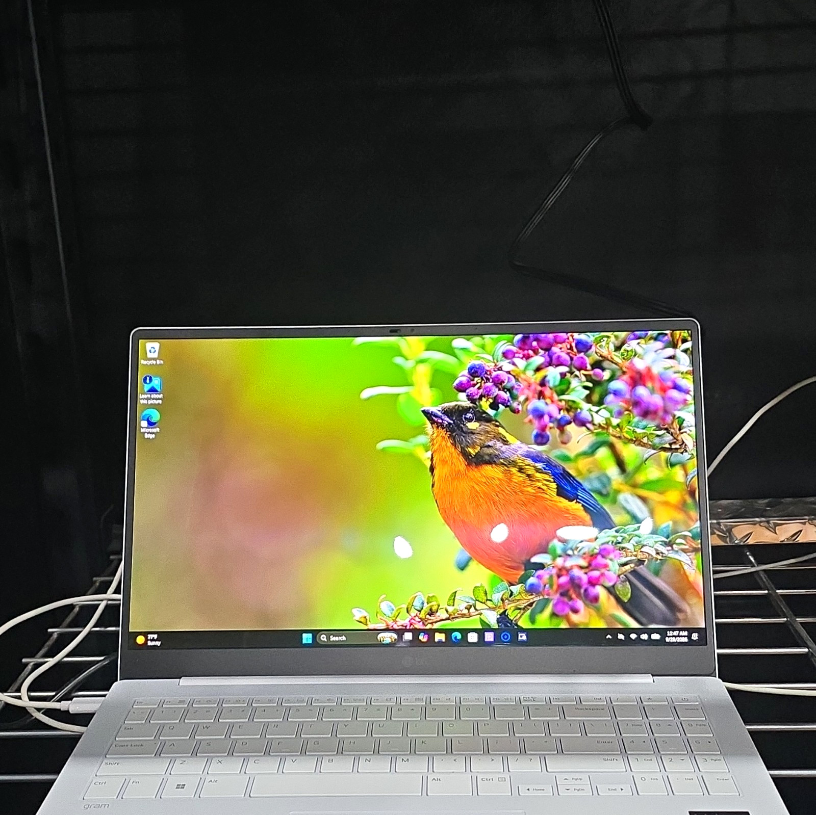 LG gram 16" Intel Core Ultra 5 125H 16GB 512GB SSD Win11 Arc White