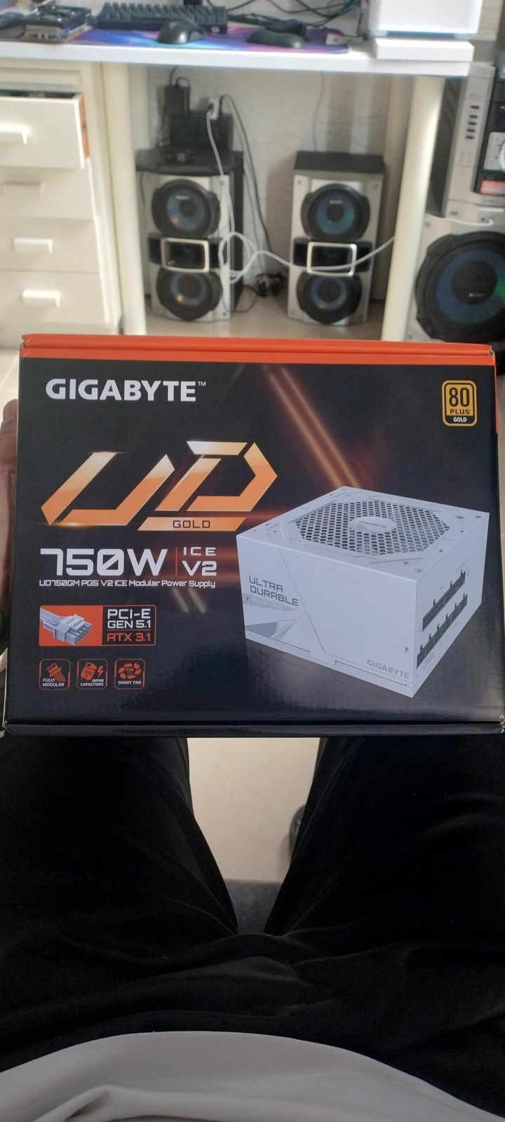 GIGABYTE UD750GM PG5 V2 ICE 750W ATX3.1 Full Modular PSU, White