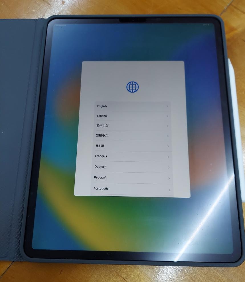APPLE IPAD PRO A2069 (CG1038464)