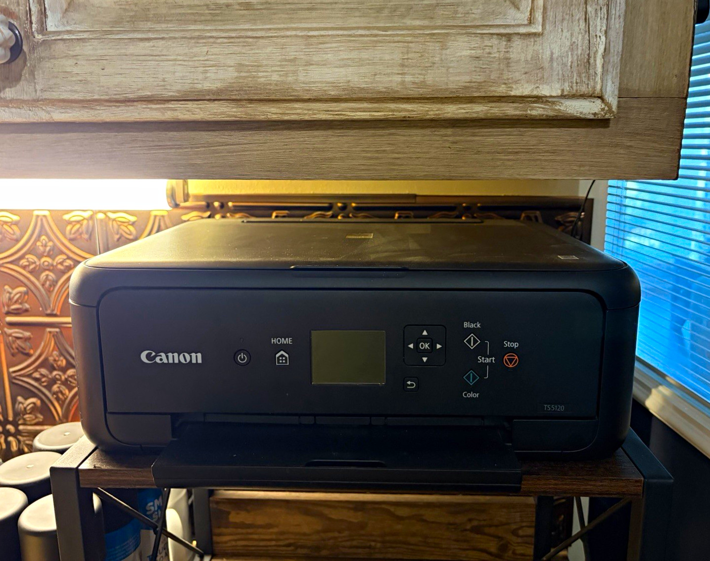 Canon PIXMA TS5120 Wireless USB 2.0 All-in-One Color Inkjet Printer