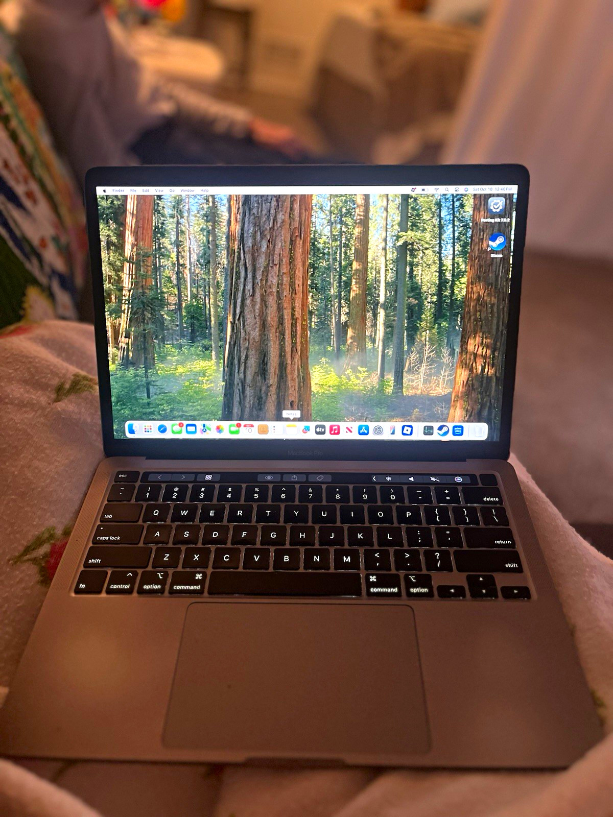 Apple MacBook Pro 13" 2020 Intel Core i5 8GB macOS Sequoia Iris Plus 645