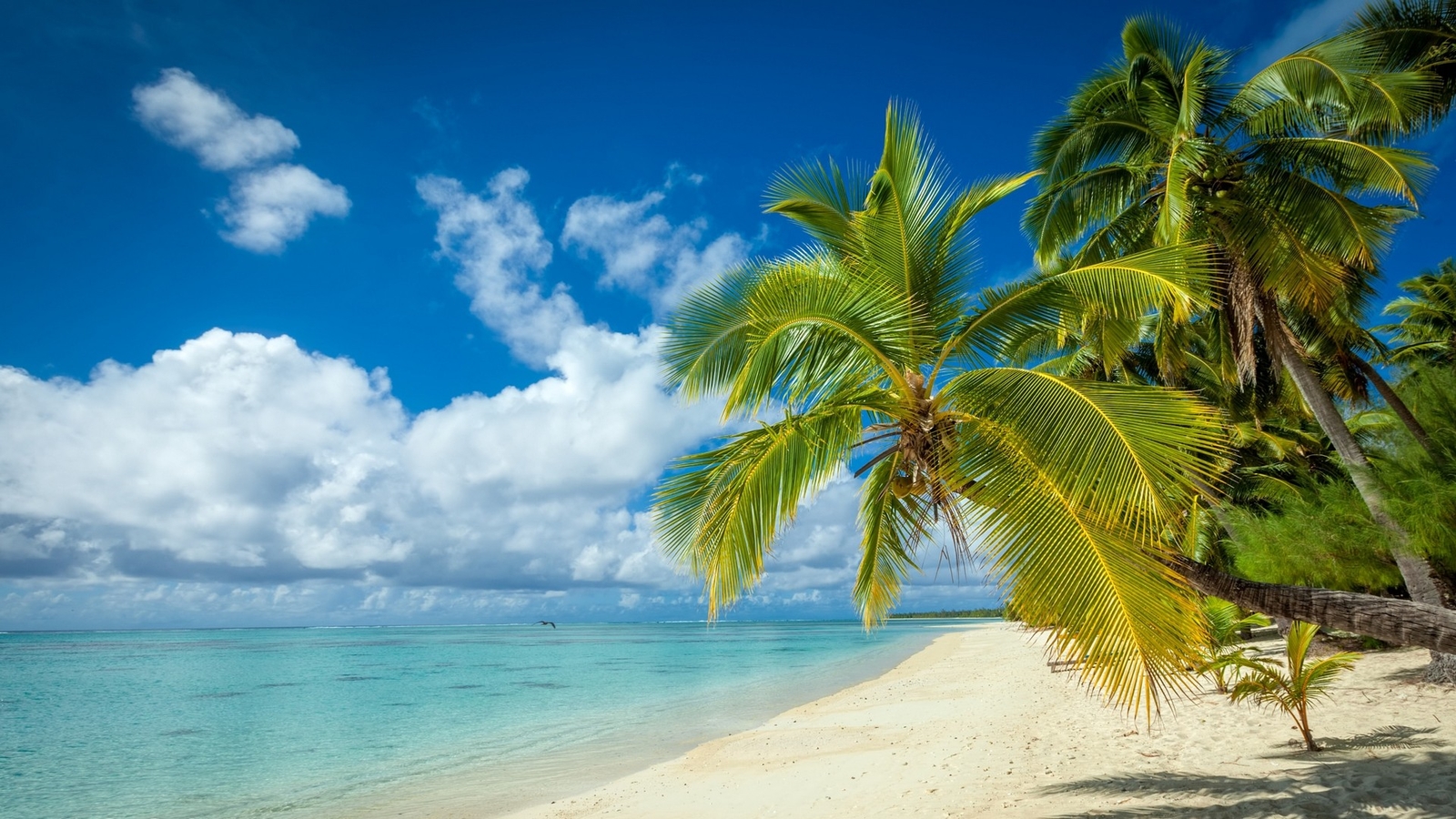 Landscape nature tropical island beach palm trees white Custom Gaming Mat Desk