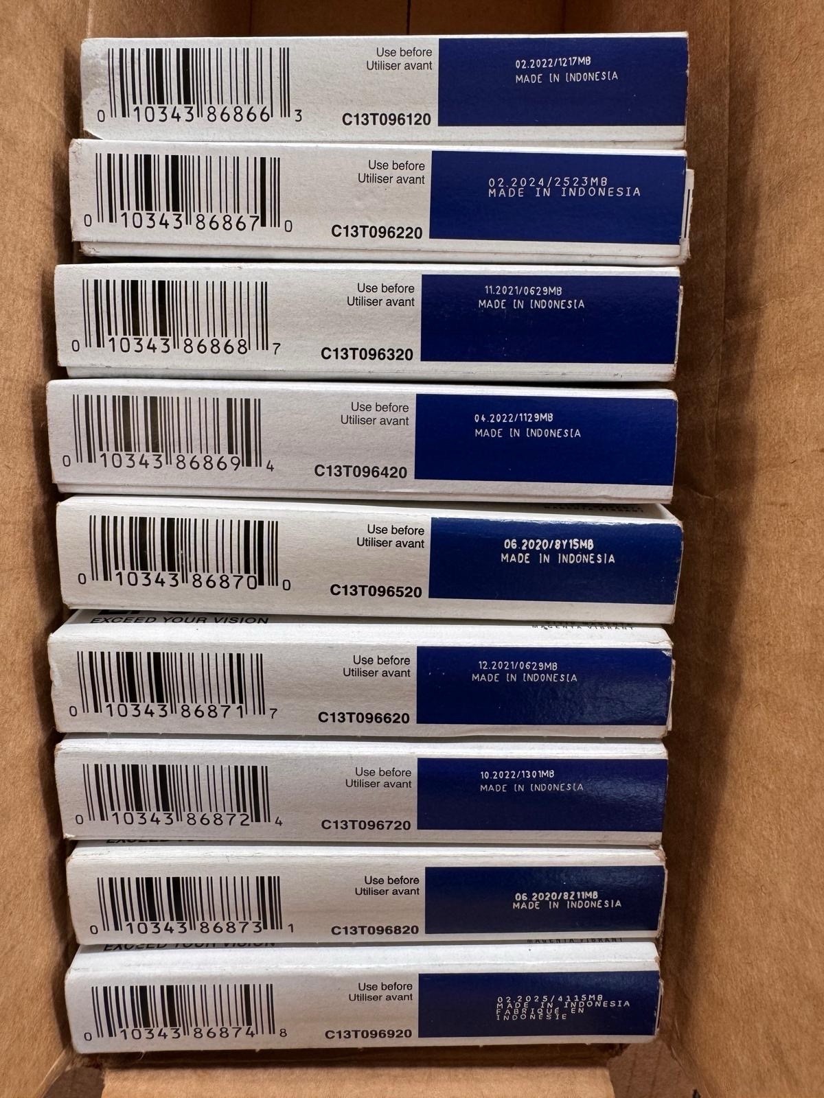 2020-2025 NIB 9 GENUINE Epson 96 T096 ink For R2880 Set T0961-T0964-T0966-T0969