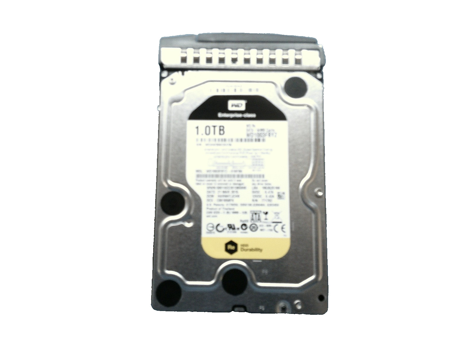 Lot of 2 Western Digital WD1003FBYZ 3.5" 1000GB SATA Internal Hard Disk Drives