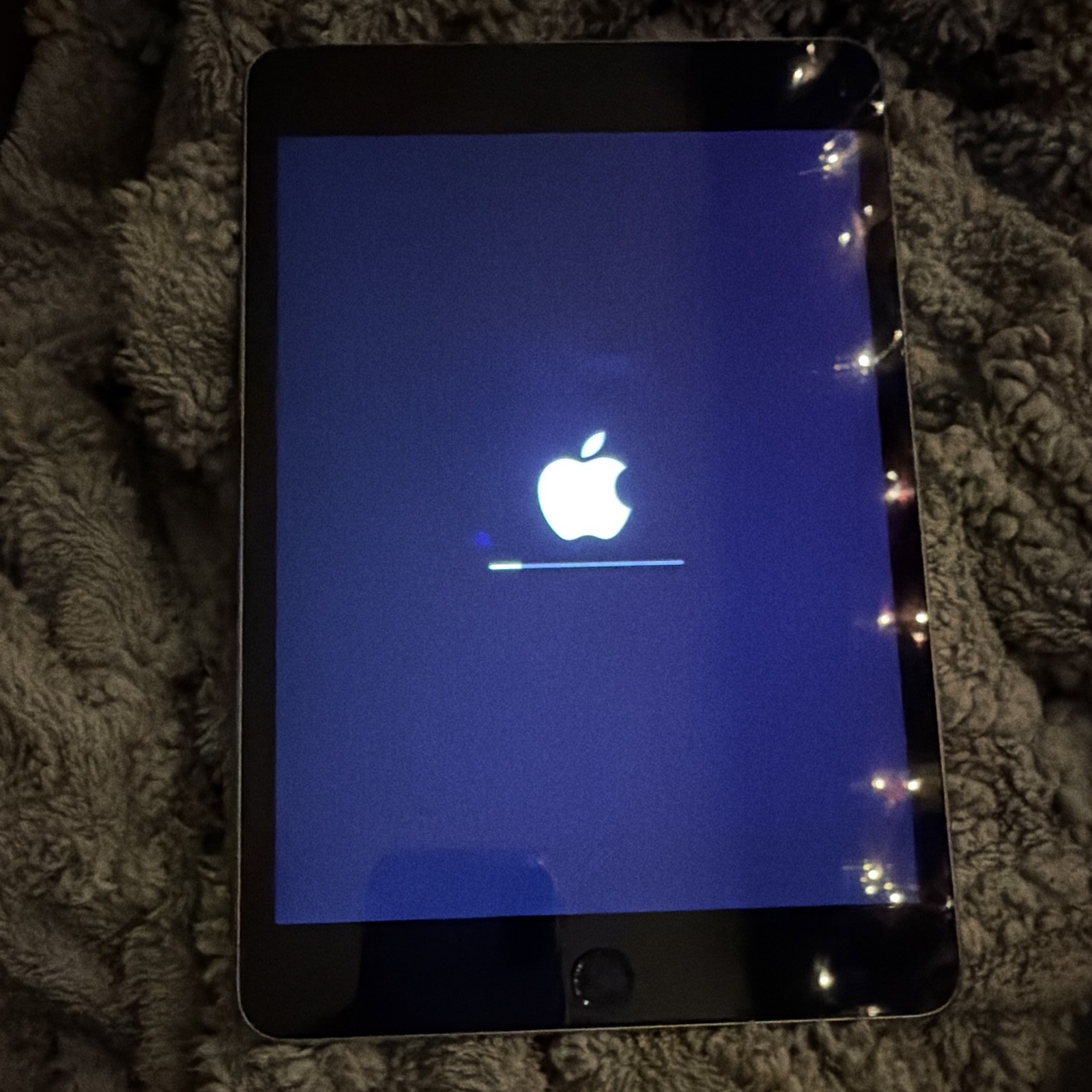 Apple iPad mini 4 Tablet Space Gray w/ Front & Rear Built-In Cameras