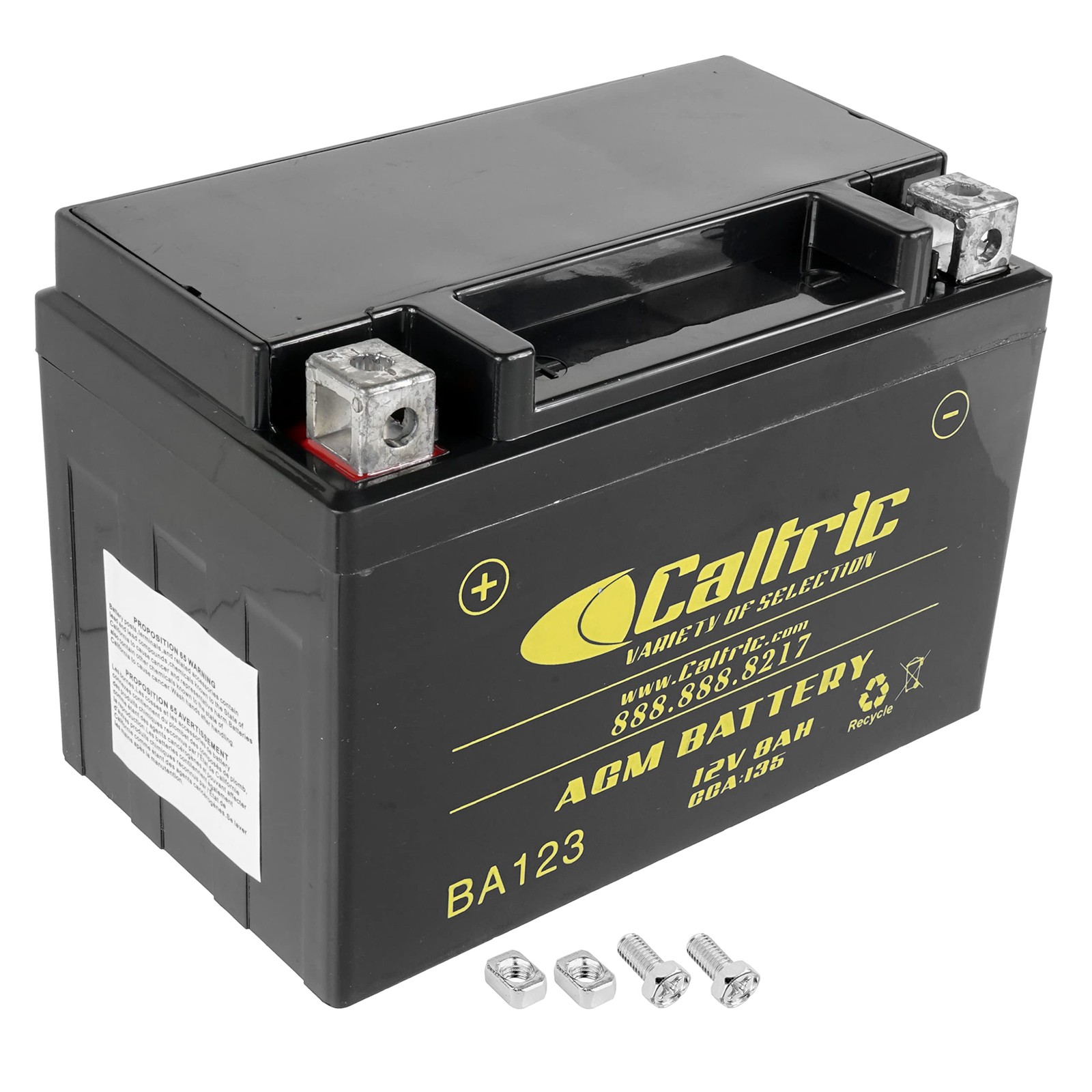 Caltric AGM Battery for Honda Trx250Ex Sportrax 250 2001-2008