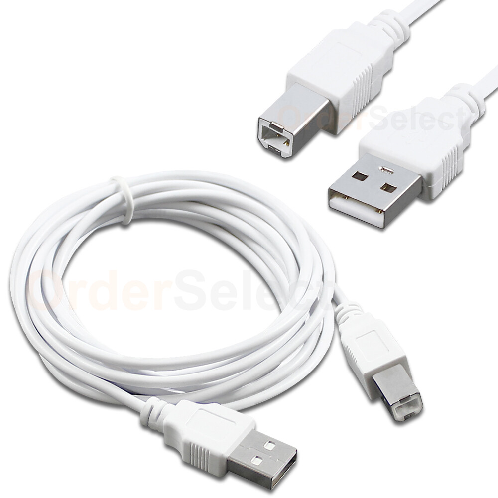 HIGH QUALITY 10 FT USB 2.0 A TO B WHITE CABLE STANDARD USB PRINTER CABLE 10 FT