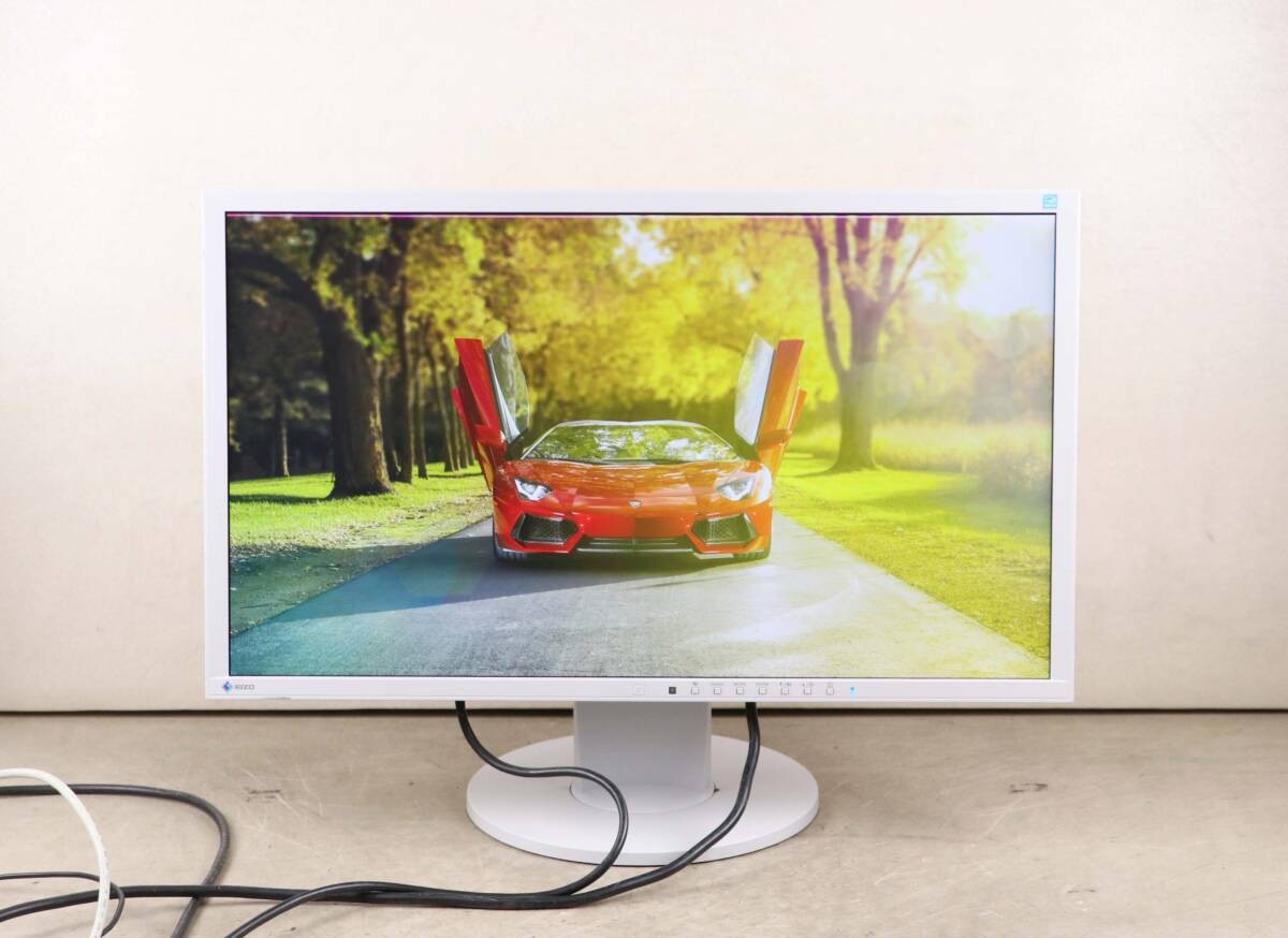 EIZO FlexScan EV2316W Full HD LED Monitor Display Tested
