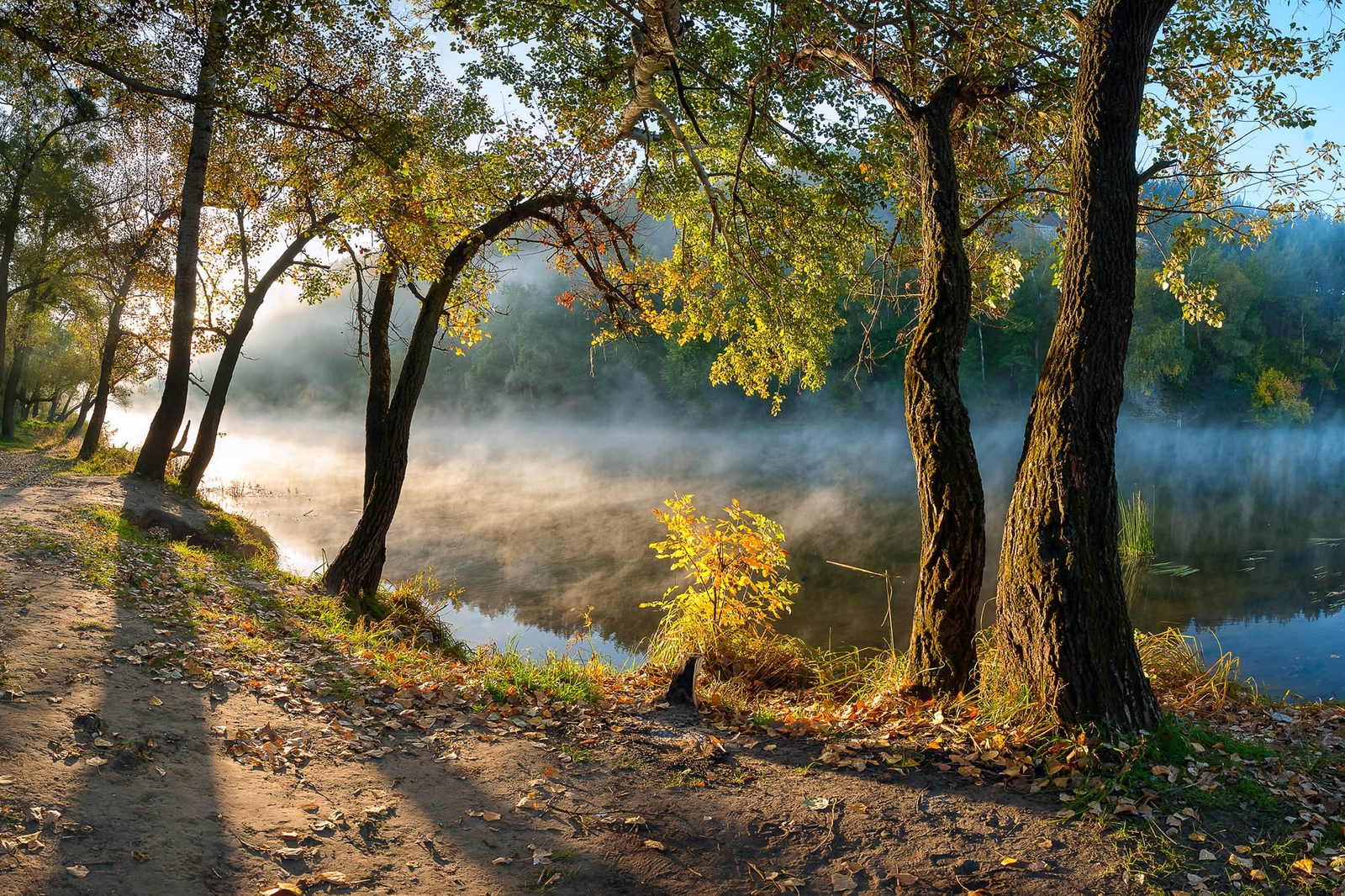 Landscape leaves river mist morning forest path water Custom Gaming Mat Desk