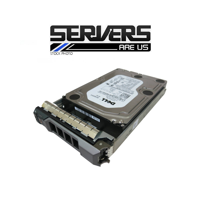 Dell 1TB 2.5" Hard Drive 09W5WV 6G 7.2K SAS 9RZ268-150 ST91000640SS W Tray