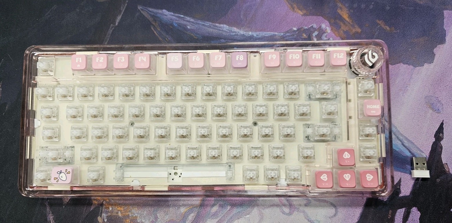 EPOMAKER x LEOBOG K81 Transparent Shell Keyboard 