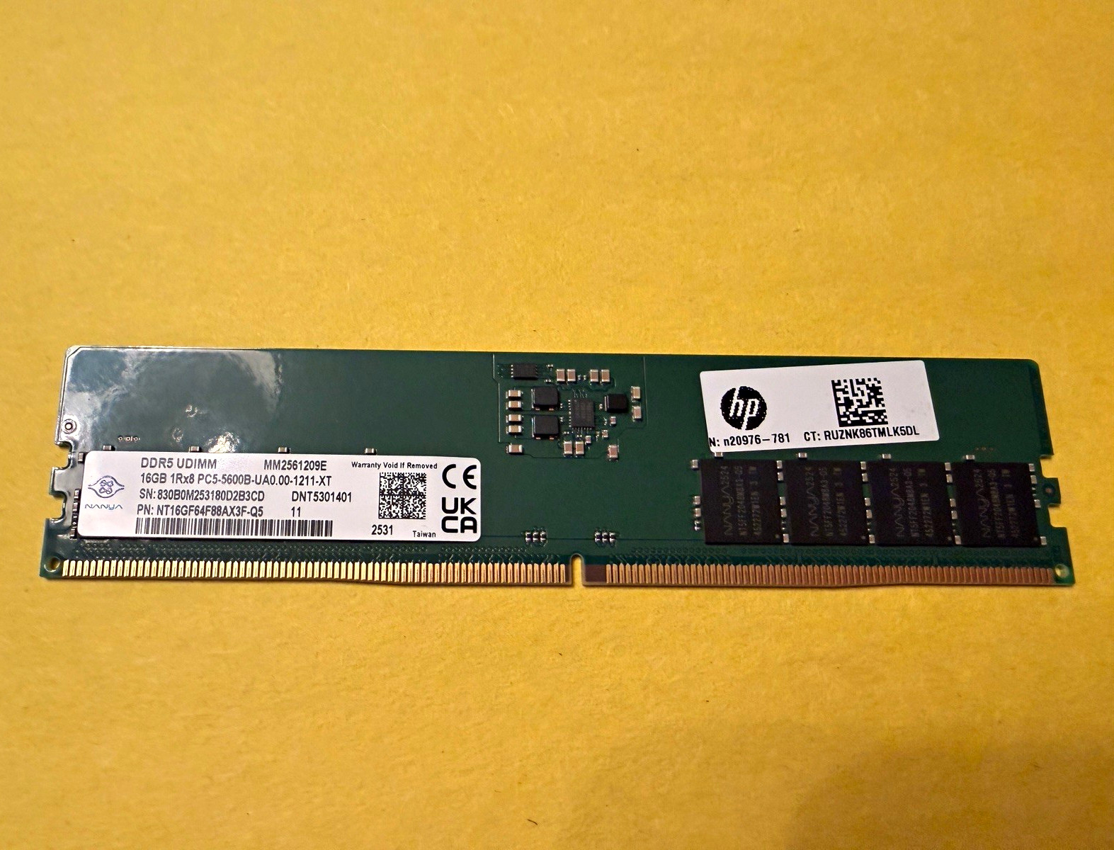 HP Nanya 16GB DDR5 5600MHz UDIMM RAM NT16GF64F88AX3F-Q5 N20976-781
