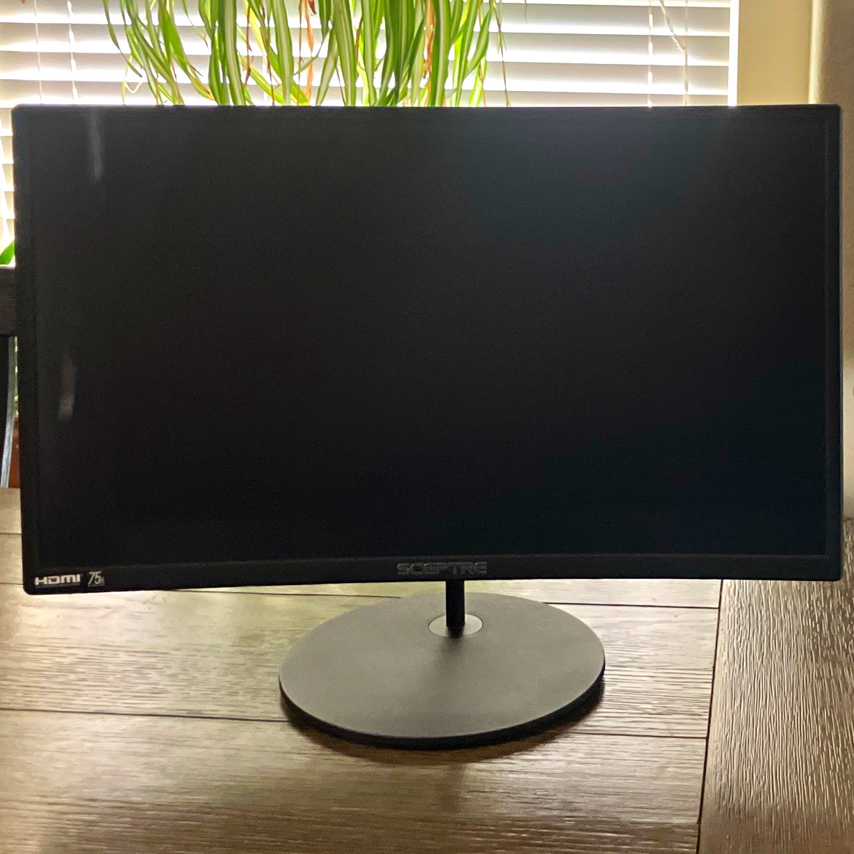 Sceptre 24" Curved LCD Monitor 1080p 75Hz HDMI VGA Built-in Speakers Black