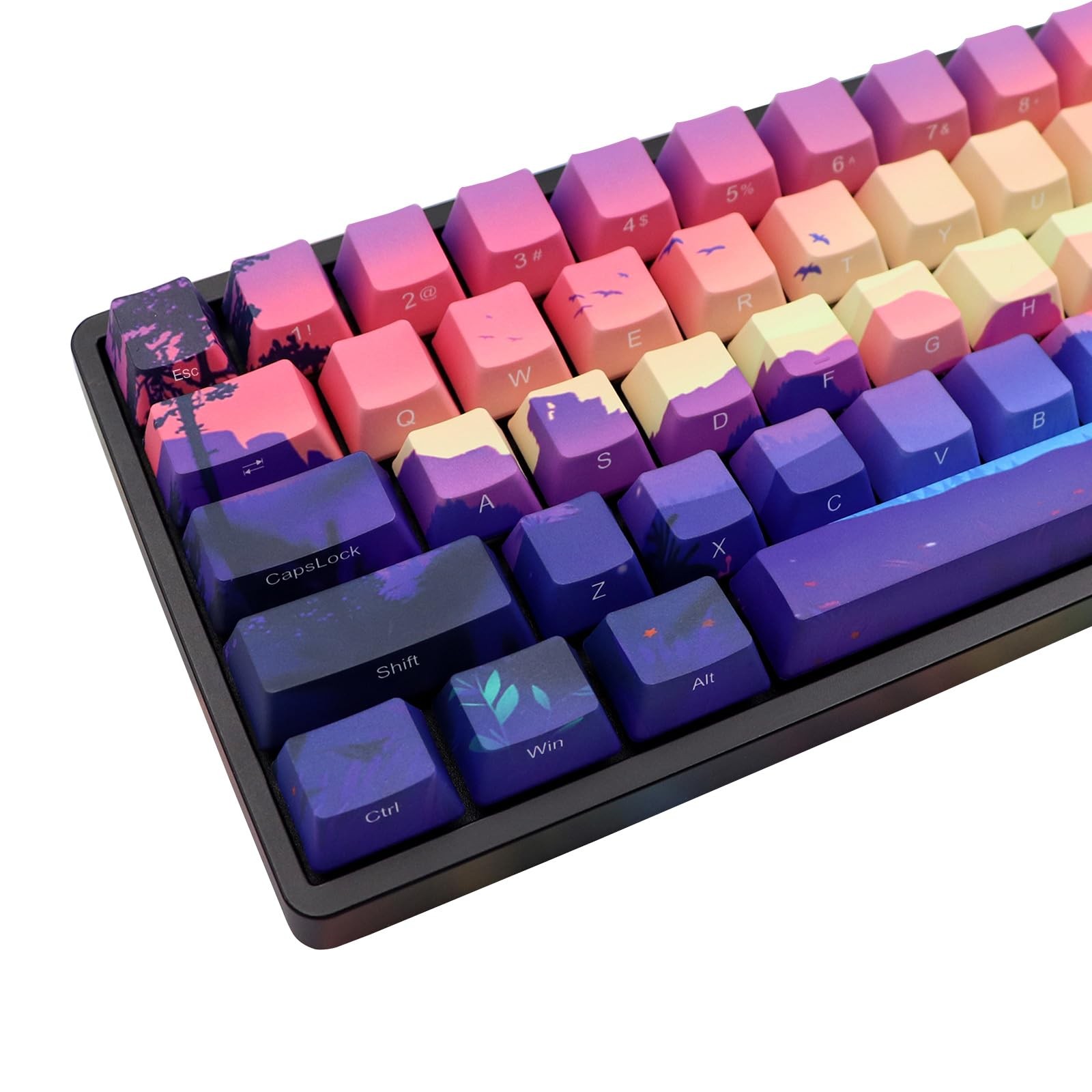 68 Keys Side Printed PBT Keycaps 65 Percent OEM Profile MX Switch Set