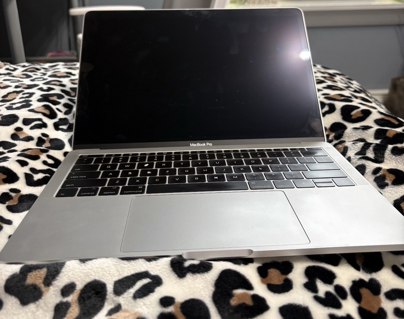 Apple MacBook Pro 13 Inch  Laptop Computer Works As It Should