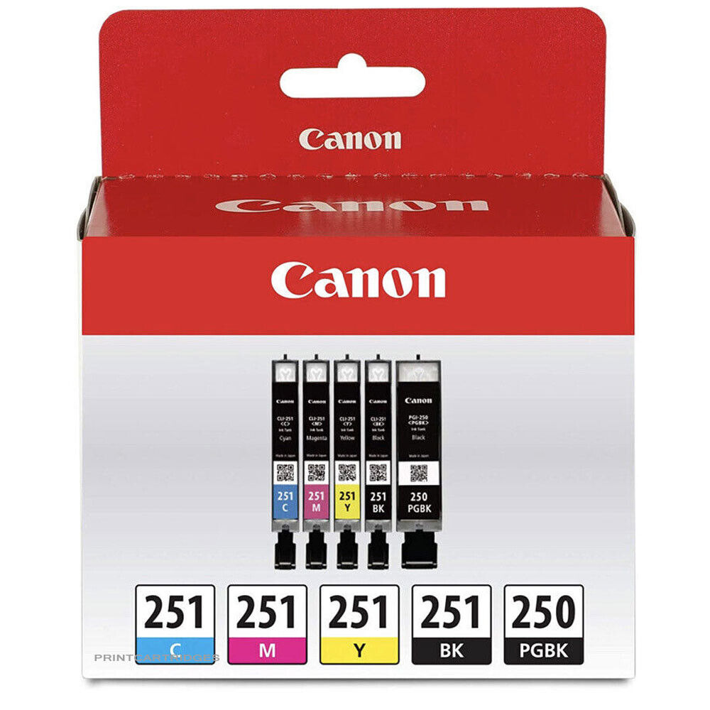 Canon 250 251 Ink Cartridge PGI250 CLI251 Set of 5 NEW OEM Genuine Setup No Box