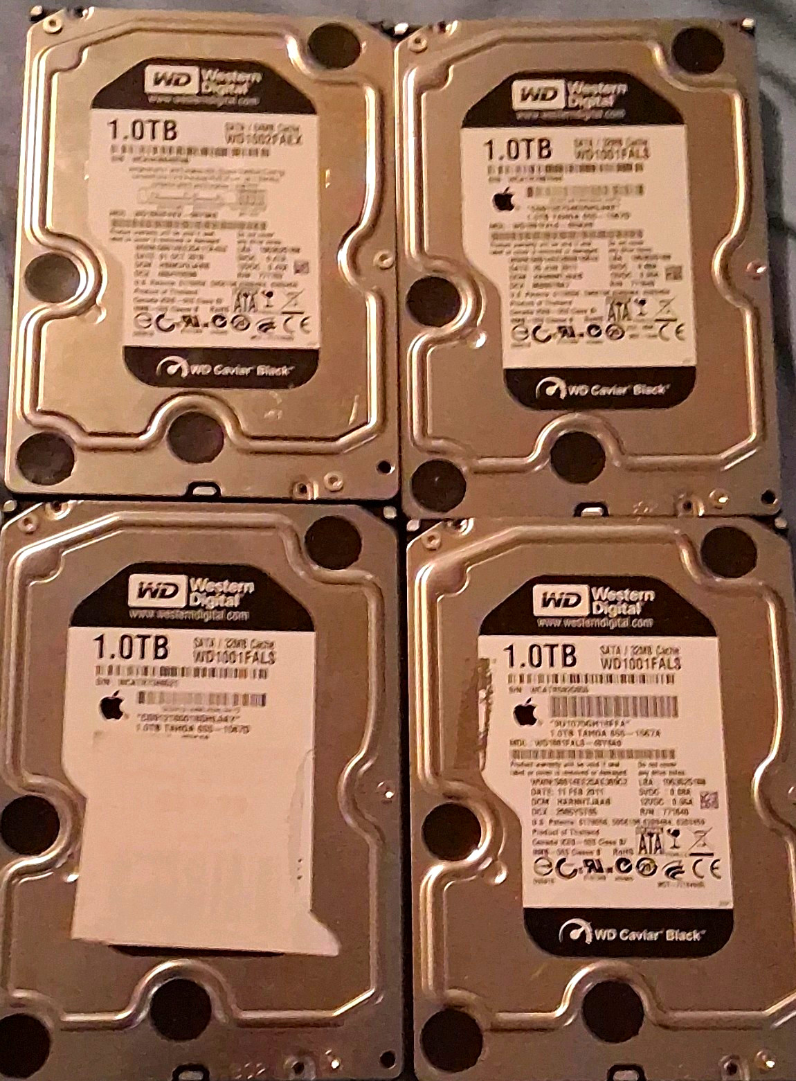 Lot Of 4 Western Digital Caviar Black 1TB 3.5" SATA HDD (Untested) Sold As Is
