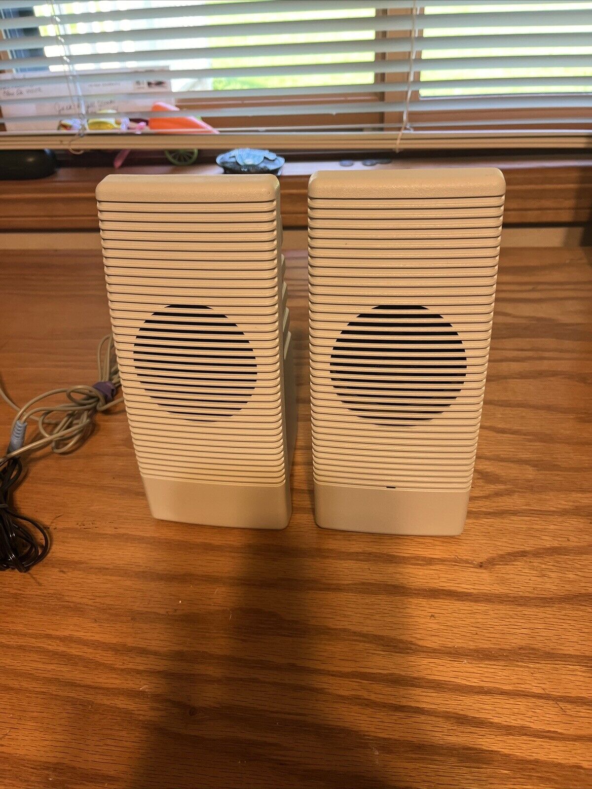 Pair Of Speakers From An IBM Desktop Computer 