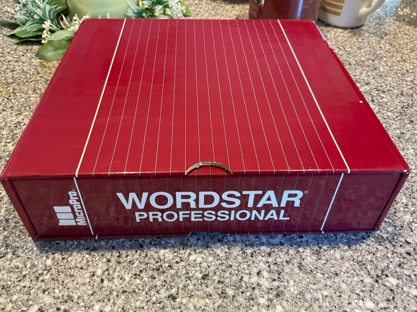 WordStar Professional Release 4.0 for PC DOS - New old stock