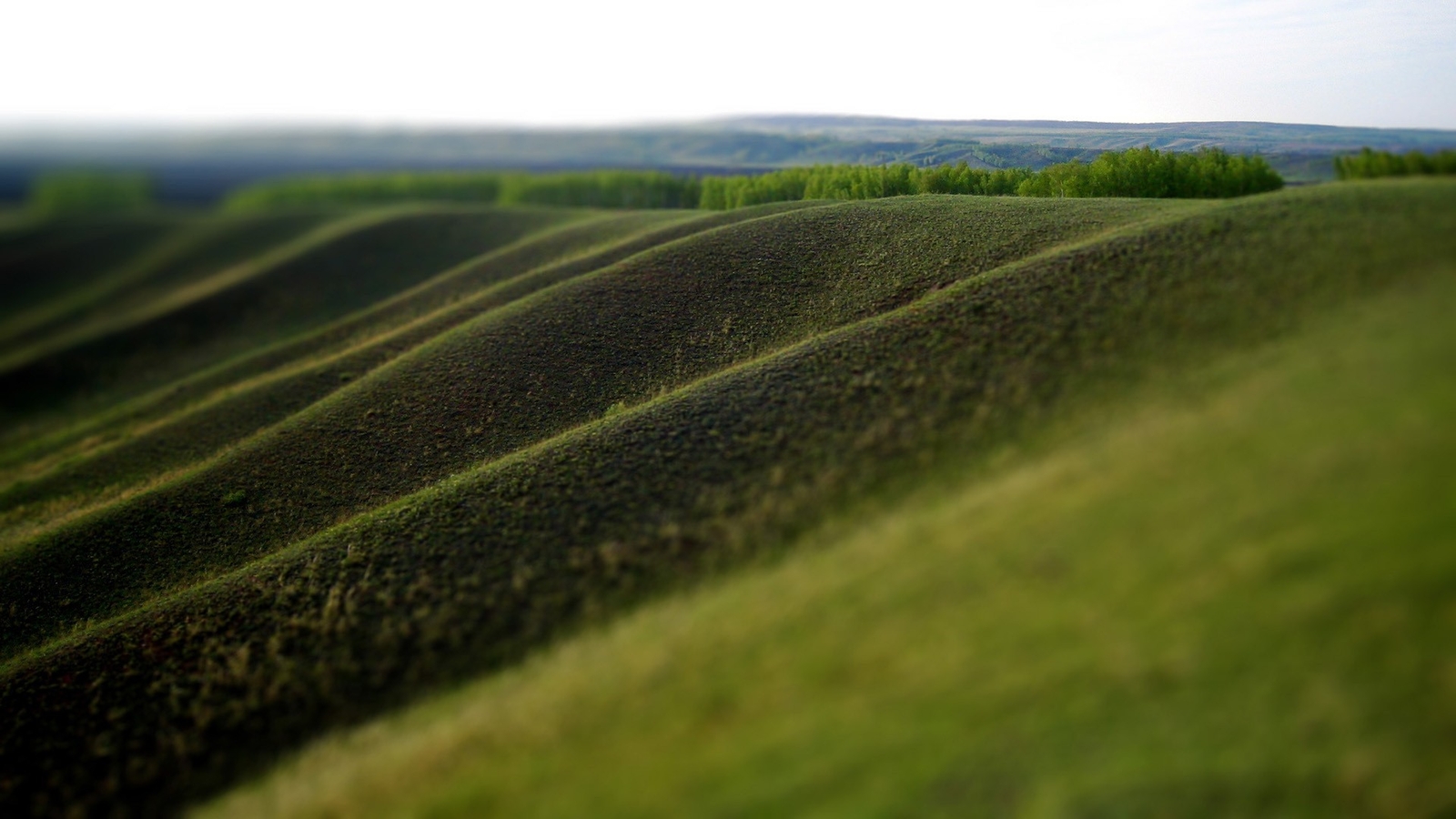 Landscape blurred grass hills tilt shift field Custom Gaming Mat Desk
