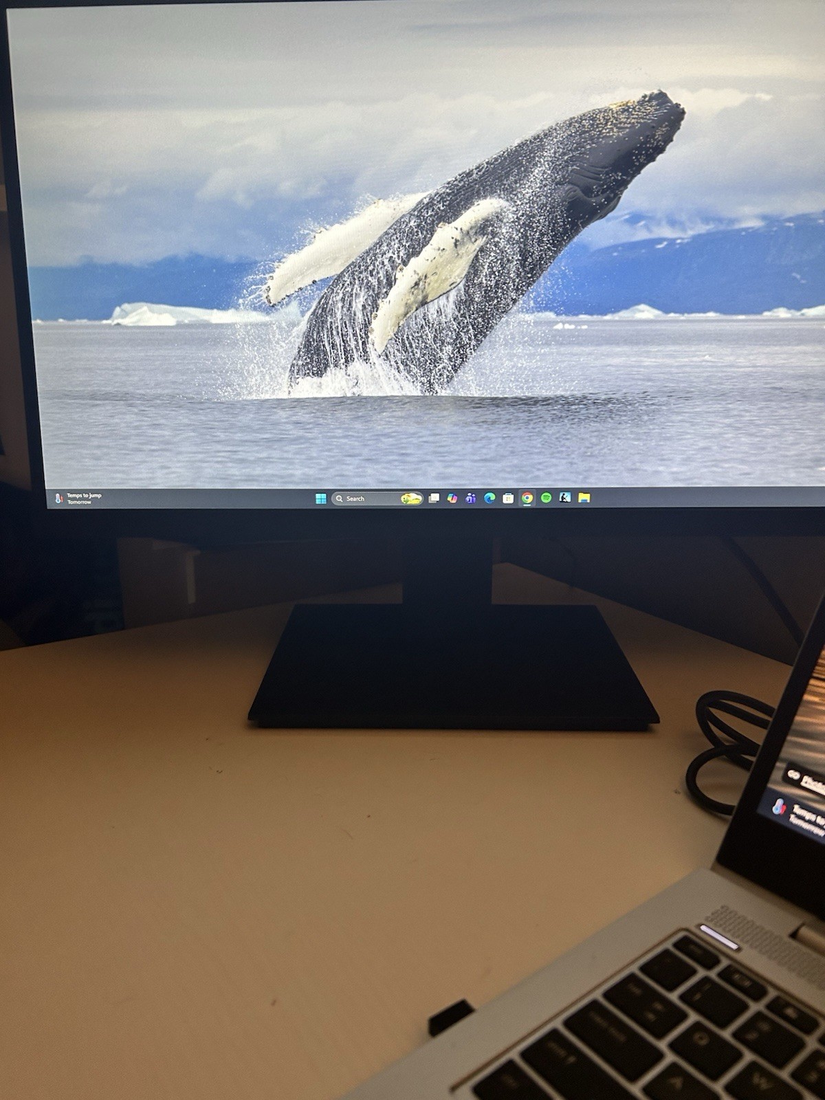 KOORUI 22N1 21.5 Inch Monitor Black MB21V13F9 VGA D-Sub HDMI Standard Display