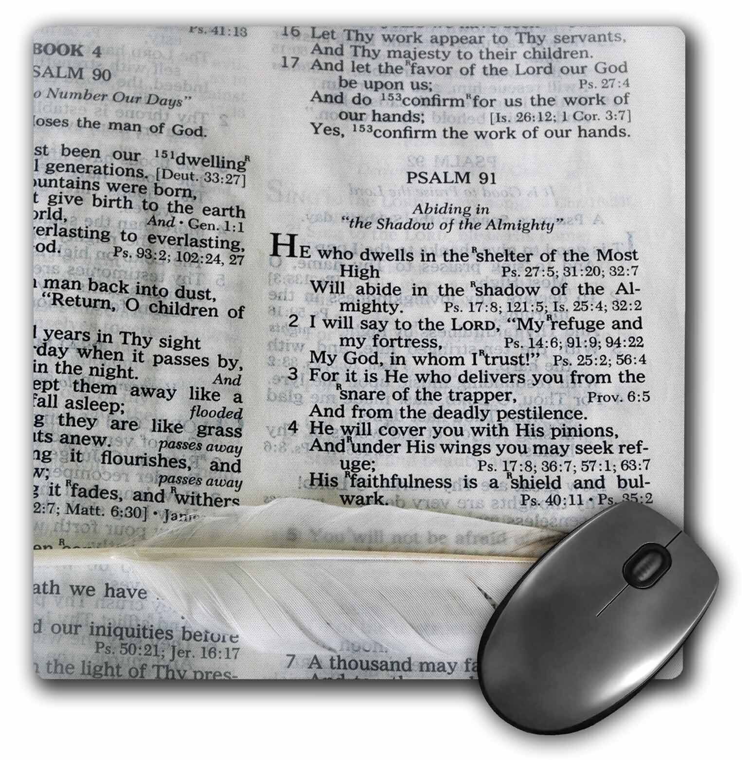 3dRose Photograph of a bible open to Psalm 91 and marked with a large feather. M