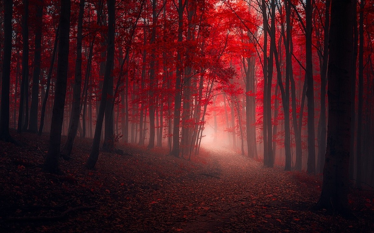 Landscape nature trees fall red path leaves mist forest Custom Gaming Mat Desk