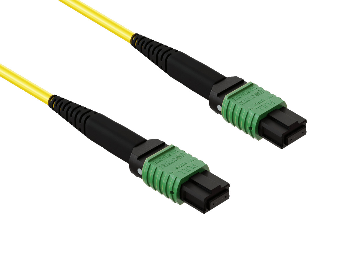 10m MTP MPO Trunk Fiber Cable OS2 12 Fiber Single Mode Type B APC Plenum