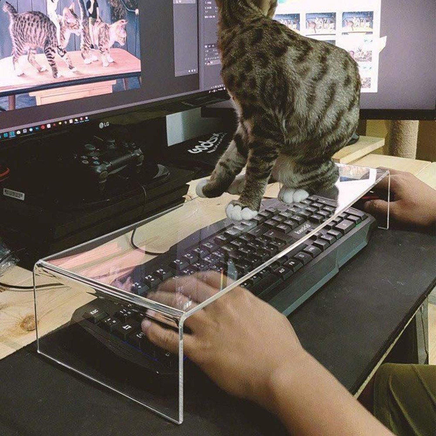 Clear Acrylic Keyboard Cover Protector Anti-Cat,2 in 1 Keyboard Bridge Protec...