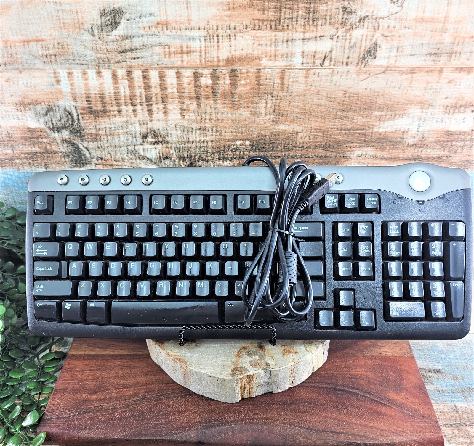 VTG Multimedia Computer Keyboard  PC DELL English USB Wired SK 8125 Clicky Keys