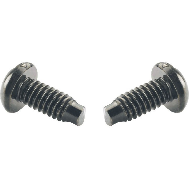 Panduit S1224-C Rack Screws #12-24 Mounting Screws Steel Black 100 Pack