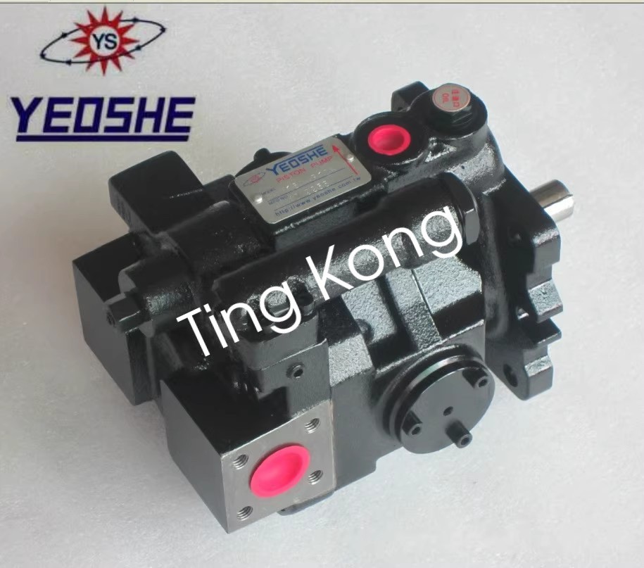 1PCS YEOSHE V23A2 R10X hydraulic oil pump via FedEx or DHL