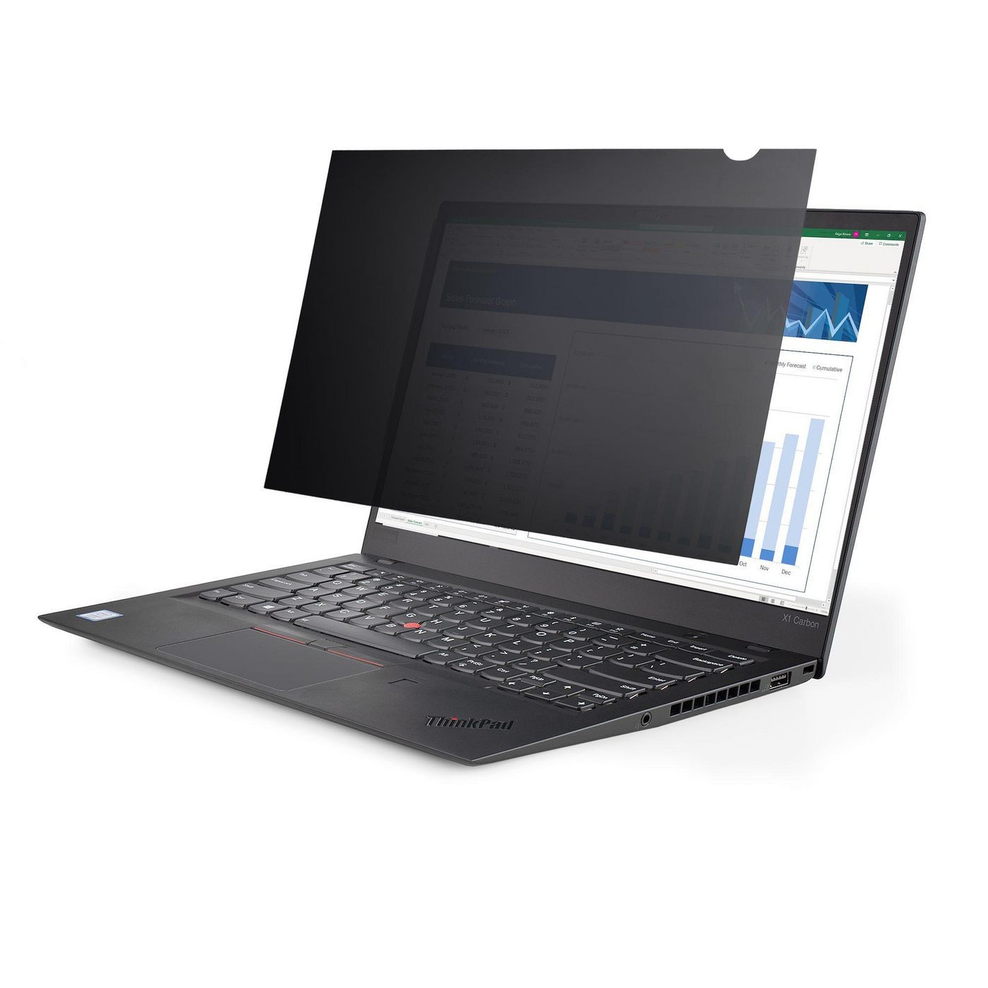StarTech.com 156L PRIVACY SCREEN 15.6-inch 16:9 Laptop Privacy Filter, ~E~