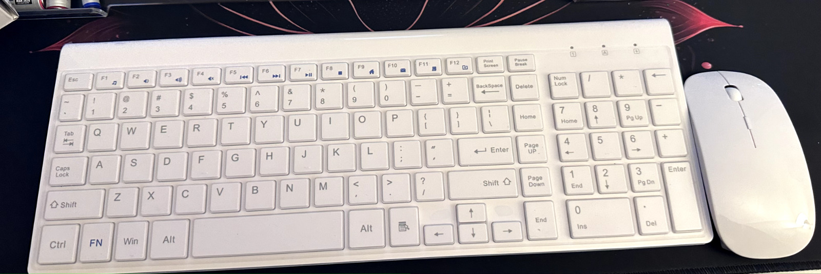 Wireless Combo Keyboard & Mouse (White) - US English