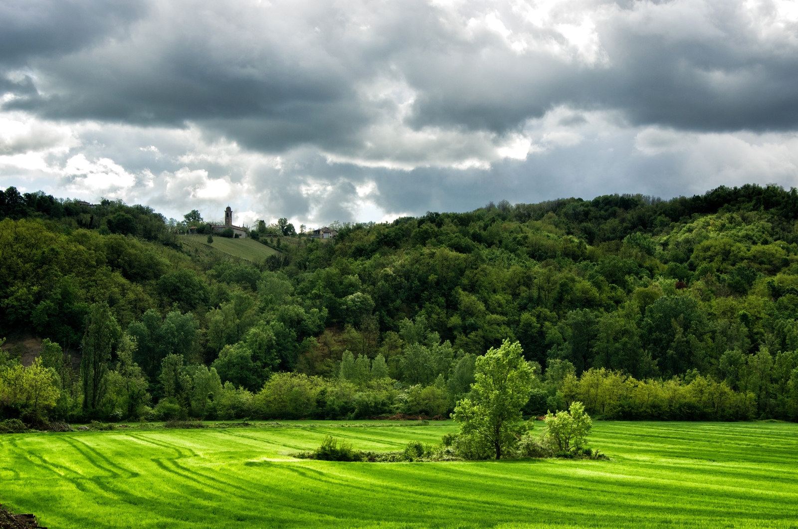 Landscape forest italy field green Custom Gaming Mat Desk