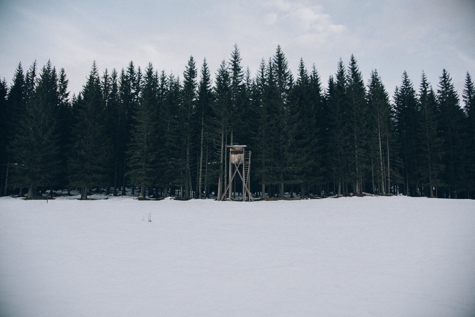 Landscape forest snow nature winter Custom Gaming Mat Desk