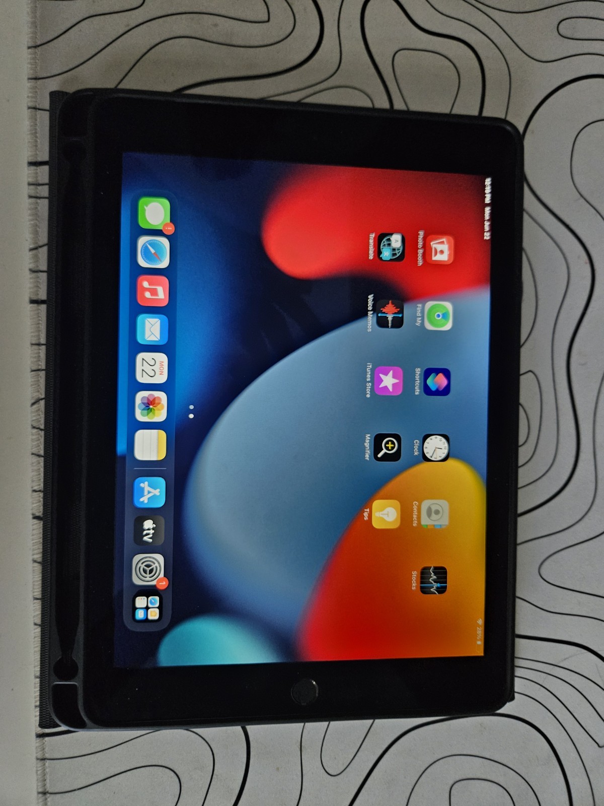 Apple iPad Air 2 32GB Wi-Fi W/ Touch ID Space Gray Bundle Case and Charger