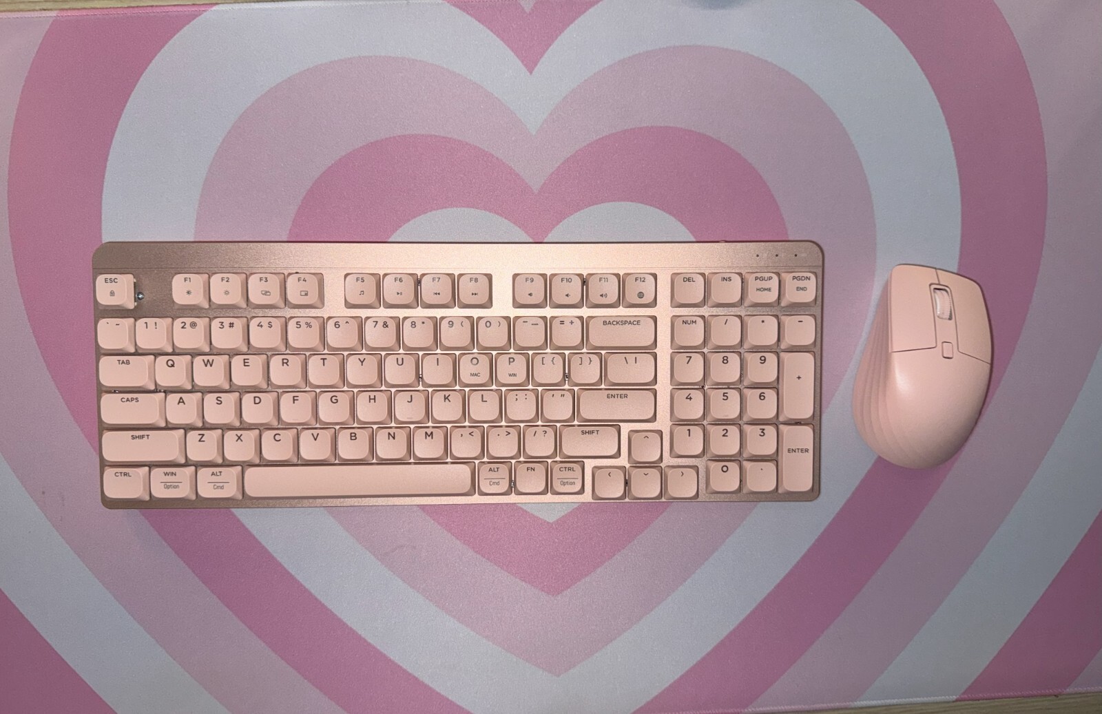 LeadsaiL FA98 Wireless Mechanical Keyboard and Mouse, 2.4Ghz - Pink