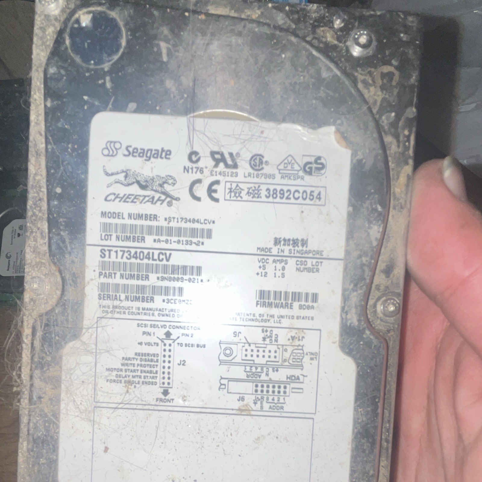 Seagate Cheetah ST173404LCV 73GB 3.5" SCSI 10000RPM 8MB Internal Hard Drive