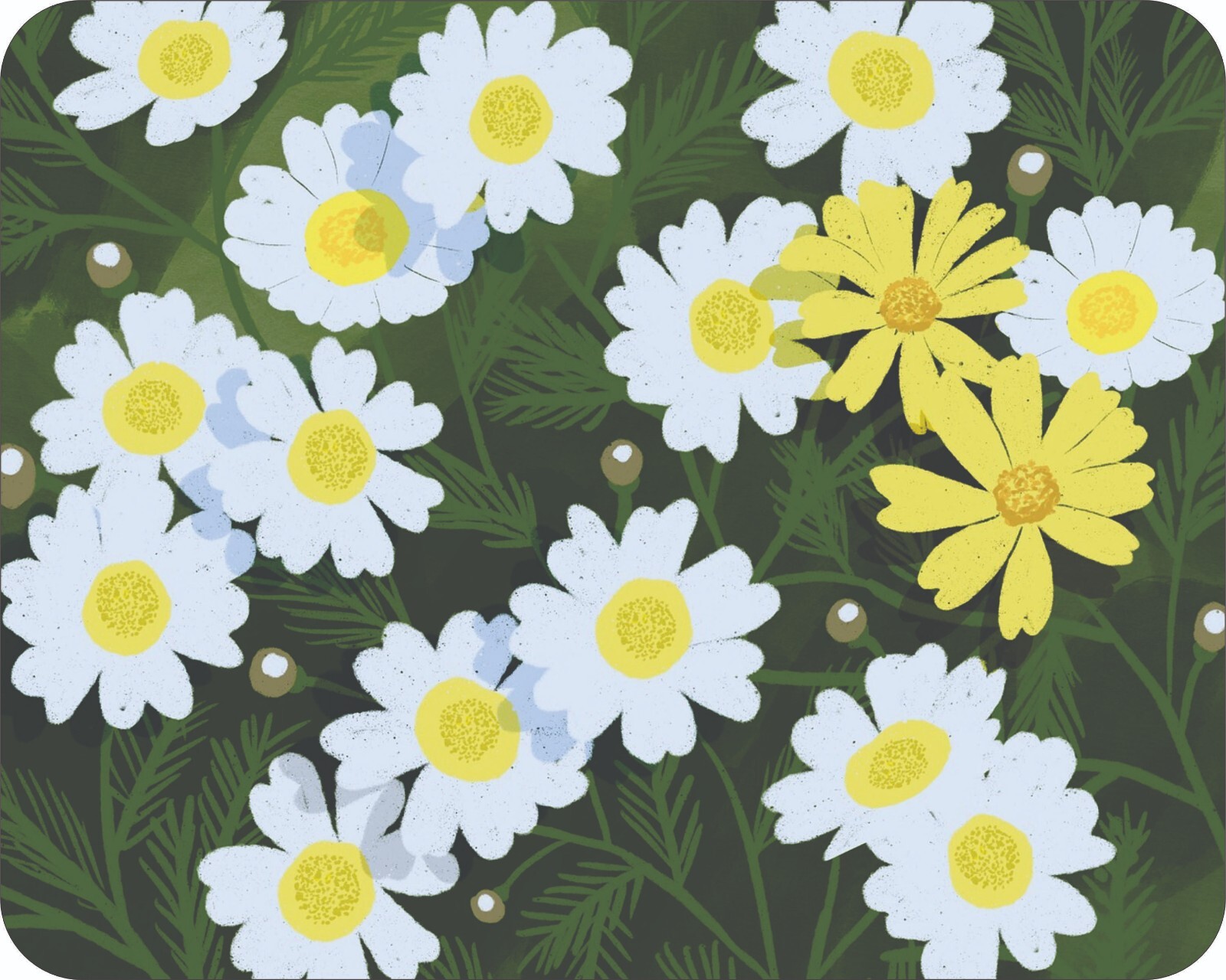 Daisy Wild Flowers Floral Art Colorful  Art Mousepad 7 x 9 Art mouse pad