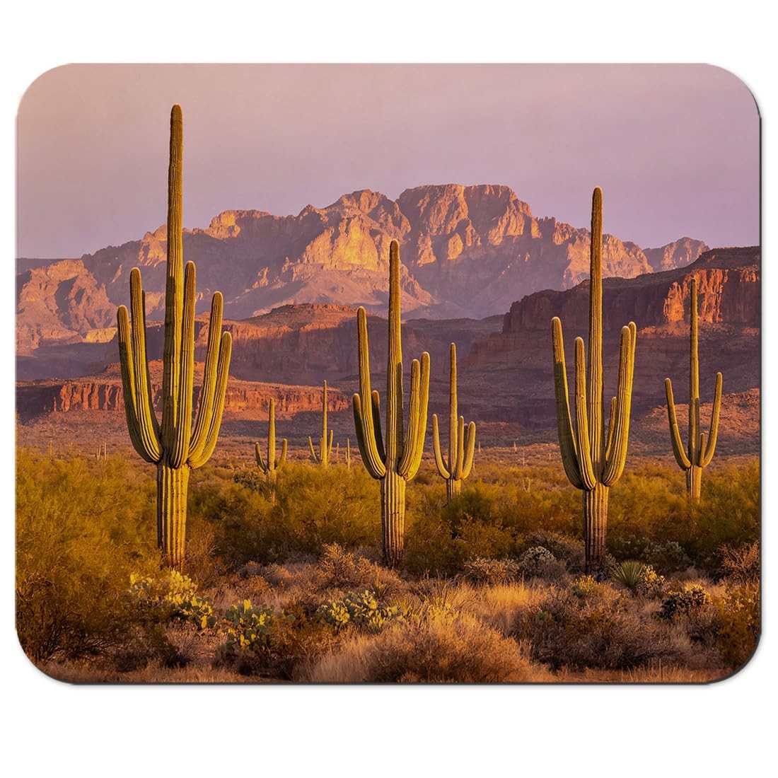 HAOSSUW Mouse Pad, Arizona Saguaro 9.5x7.9