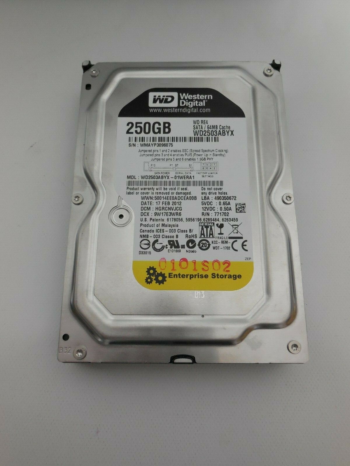 western Digital WD2503ABYX-01WERA1     [ENTERPRISE STORAGE]     250GB (FORMATED)