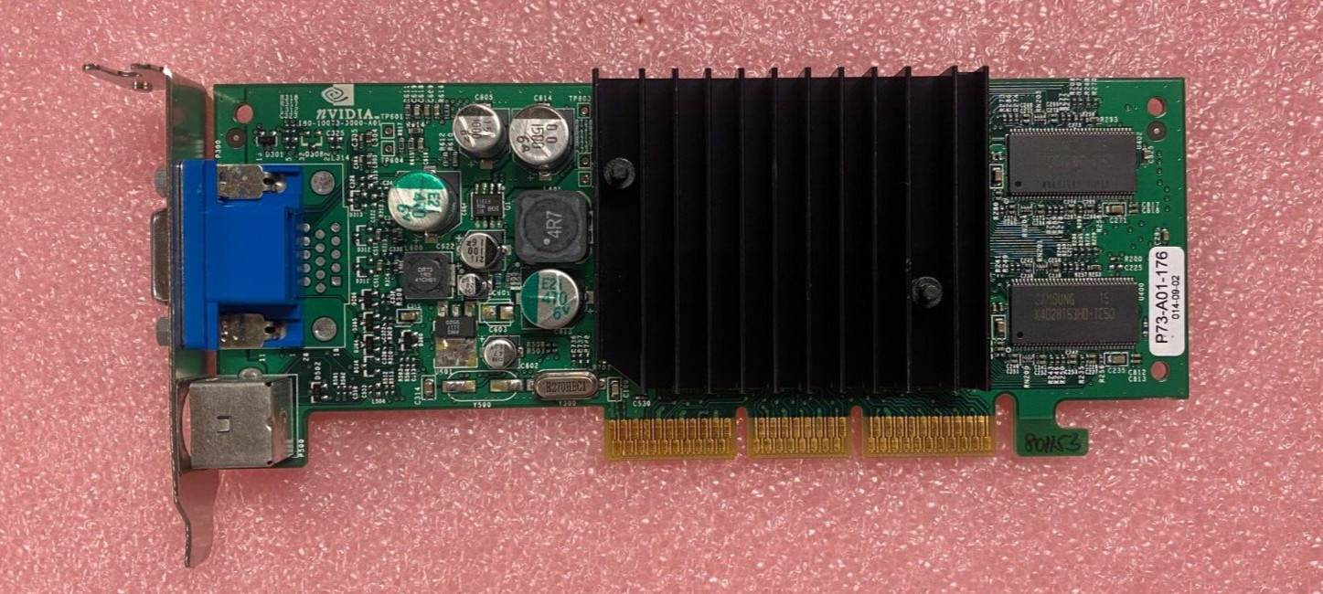 VINTAGE nVIDIA GeForce AGP Video Card w/VGA & S-VIDEO P73-A01 600-10073-002-AX1