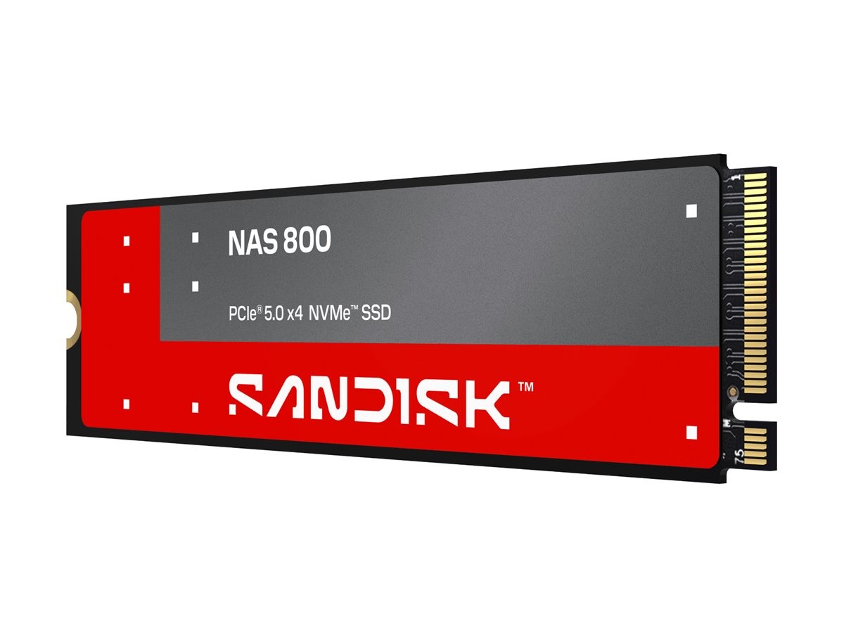 SanDisk NAS 800 SSD Encrypted 960GB Internal M.2 2280 SDSNP2960GAN-000E0
