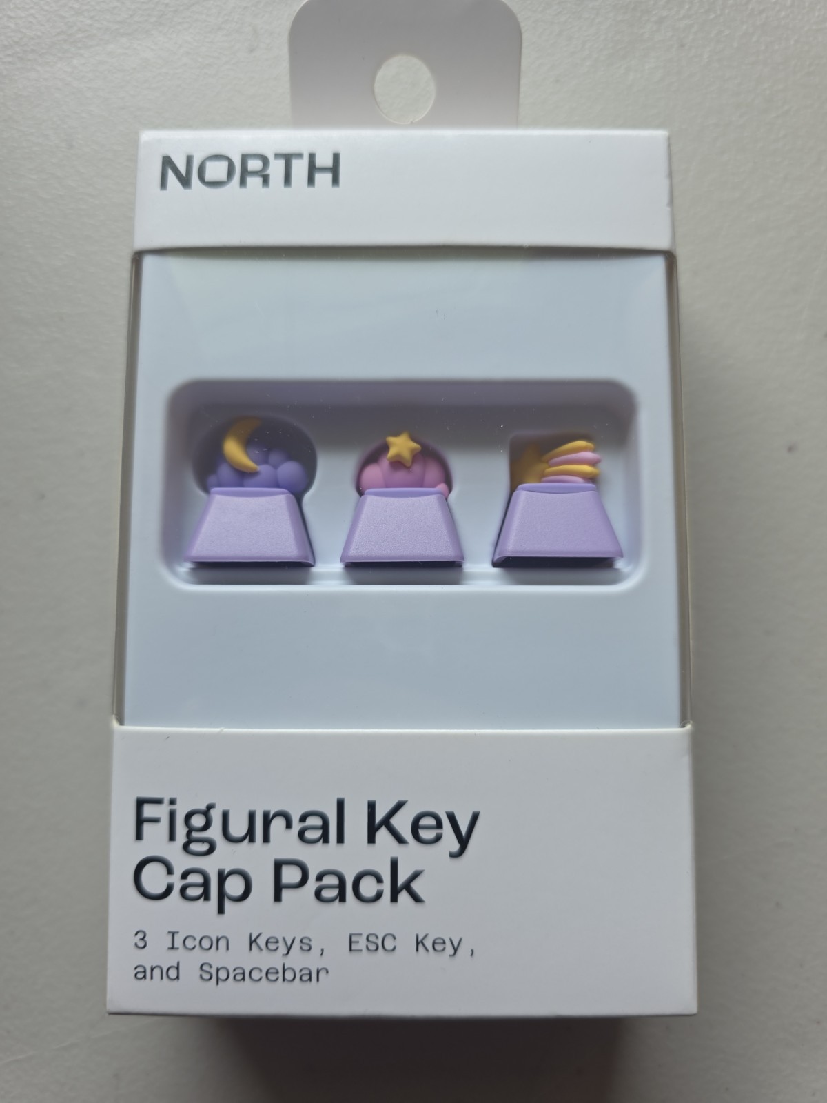 NORTH Figural Keycap Set MX Mechanical Keyboard ESC Spacebar Artisan Purple